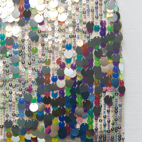 Sequin Skirt for Eras Tour - Picture 4 of 4